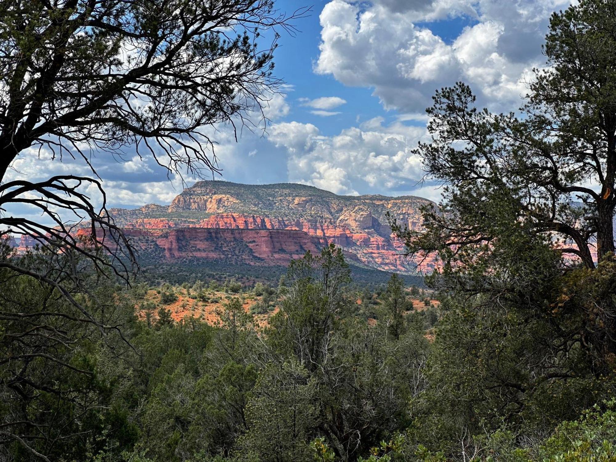 Cathedral Casita At Sedona Cathedral Hideaway Llc Villa Eksteriør billede